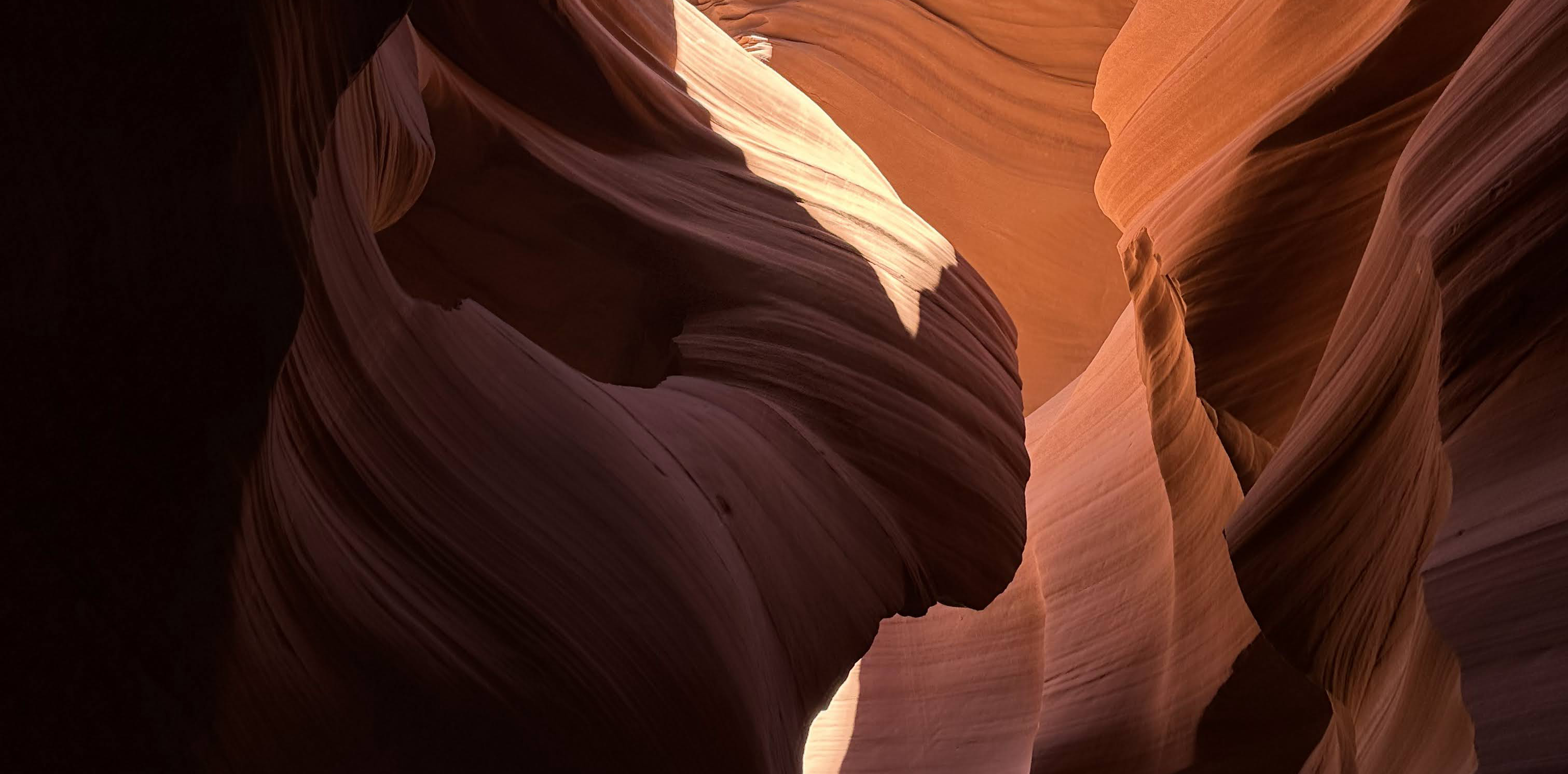 Arizona