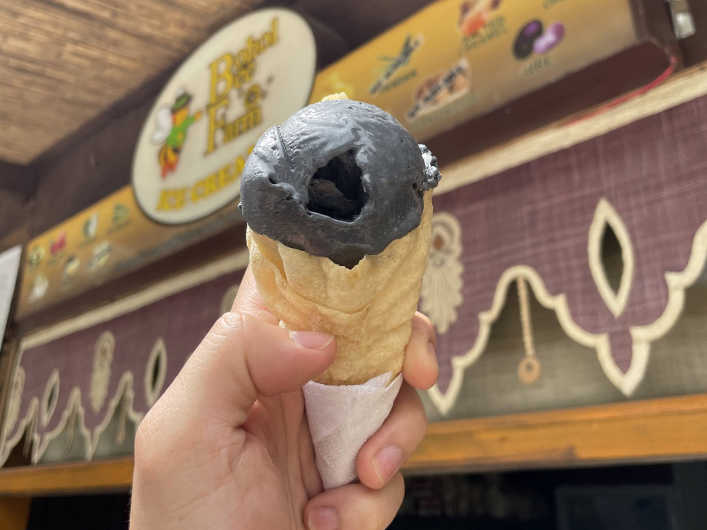 Bohol Bee Farm Charcoal Ice Cream