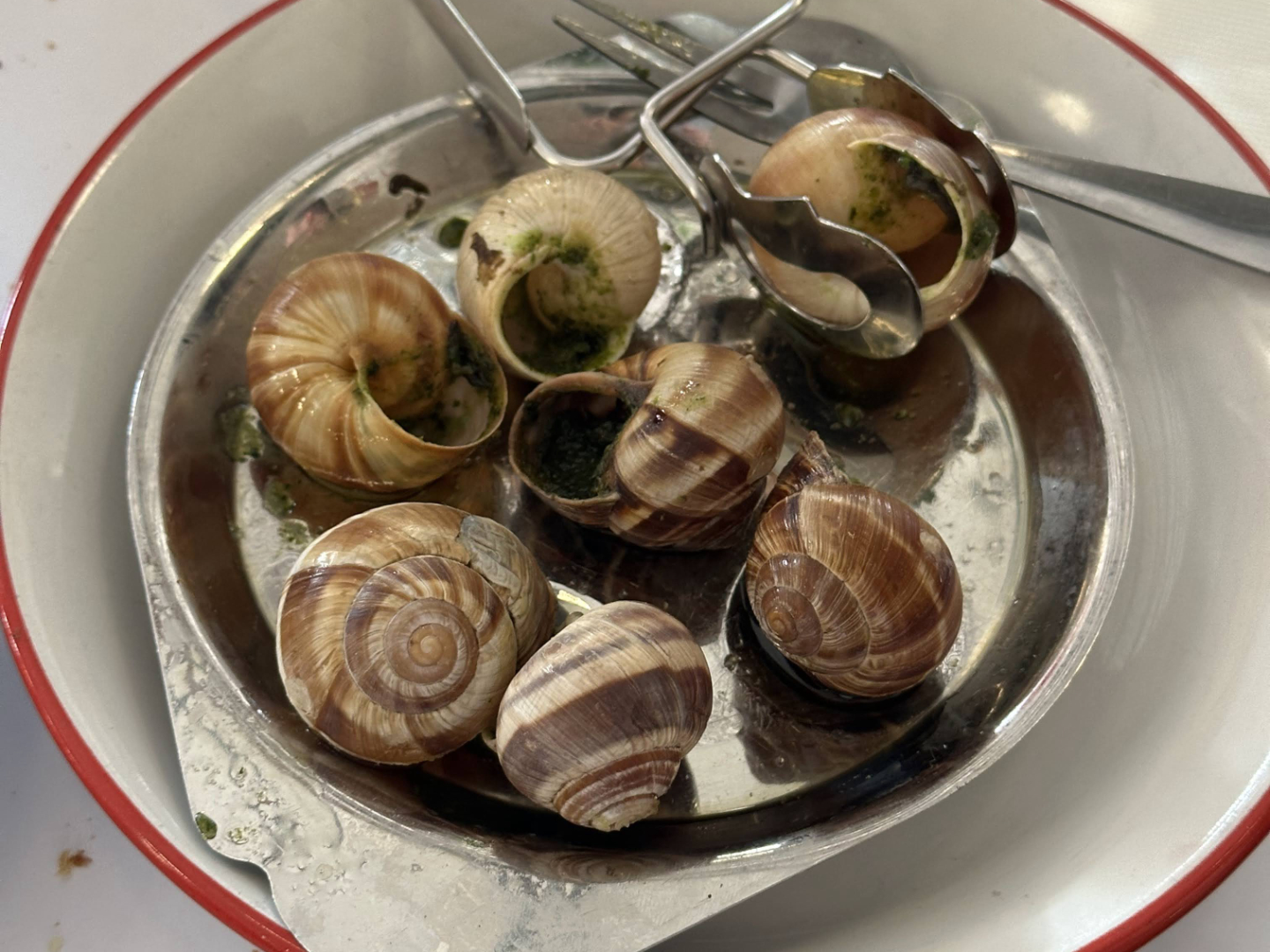 Bouillon Pigalle Escargot