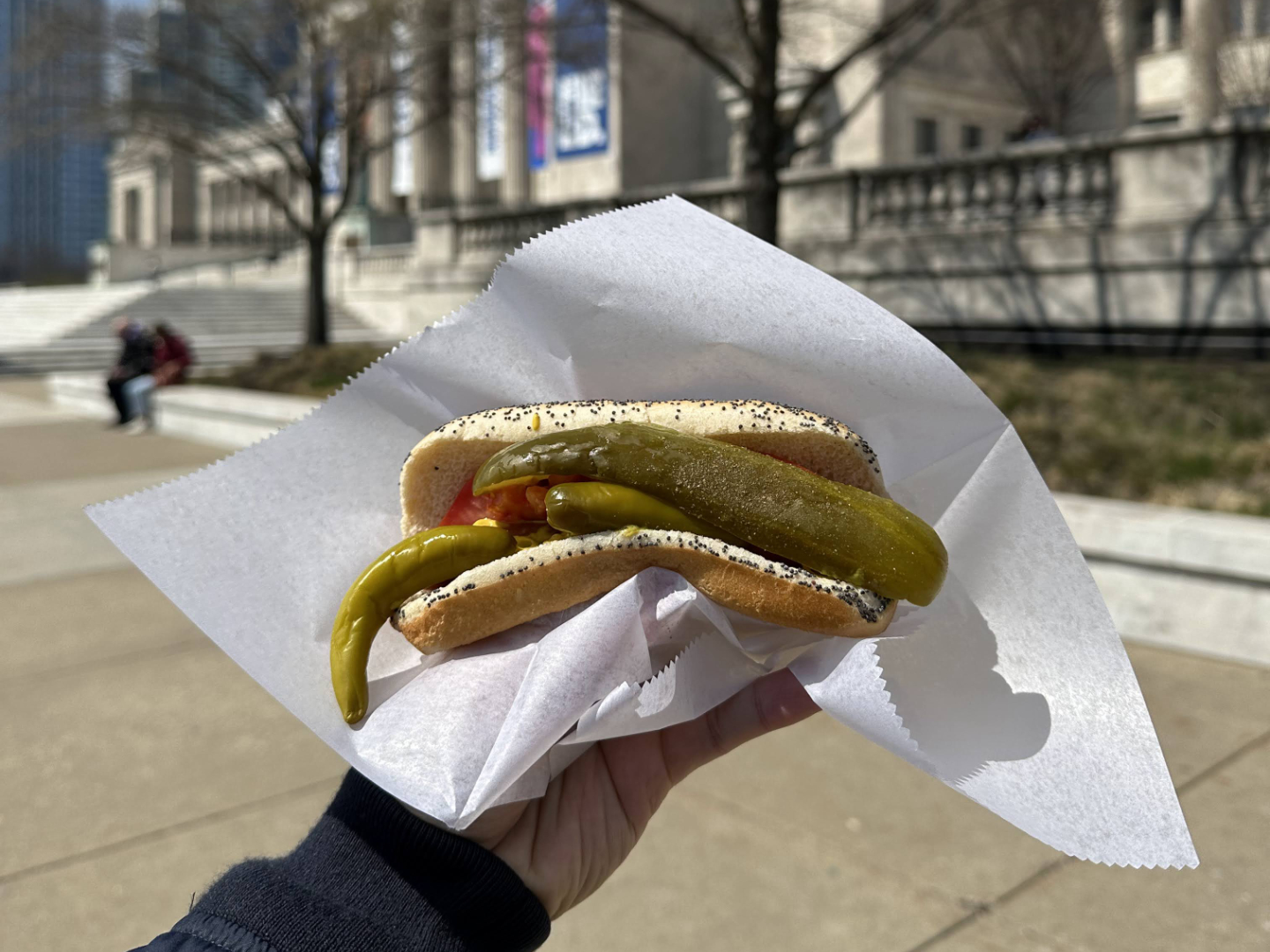 Chicago Dog