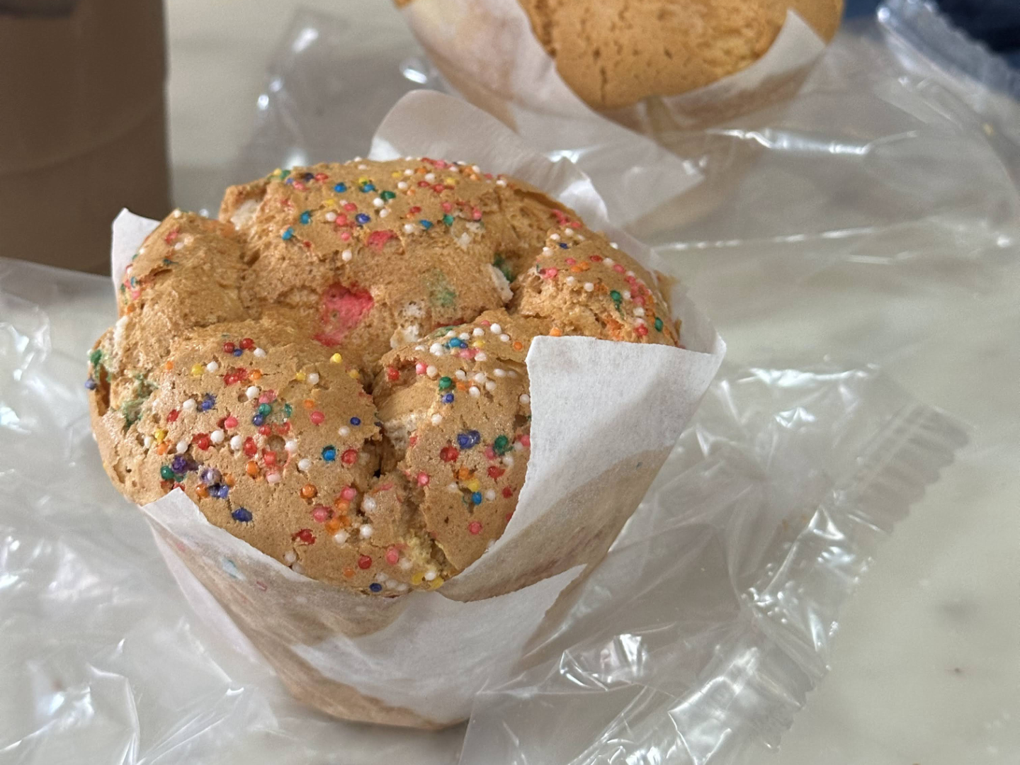 Spongies Cafe Sponge Cake