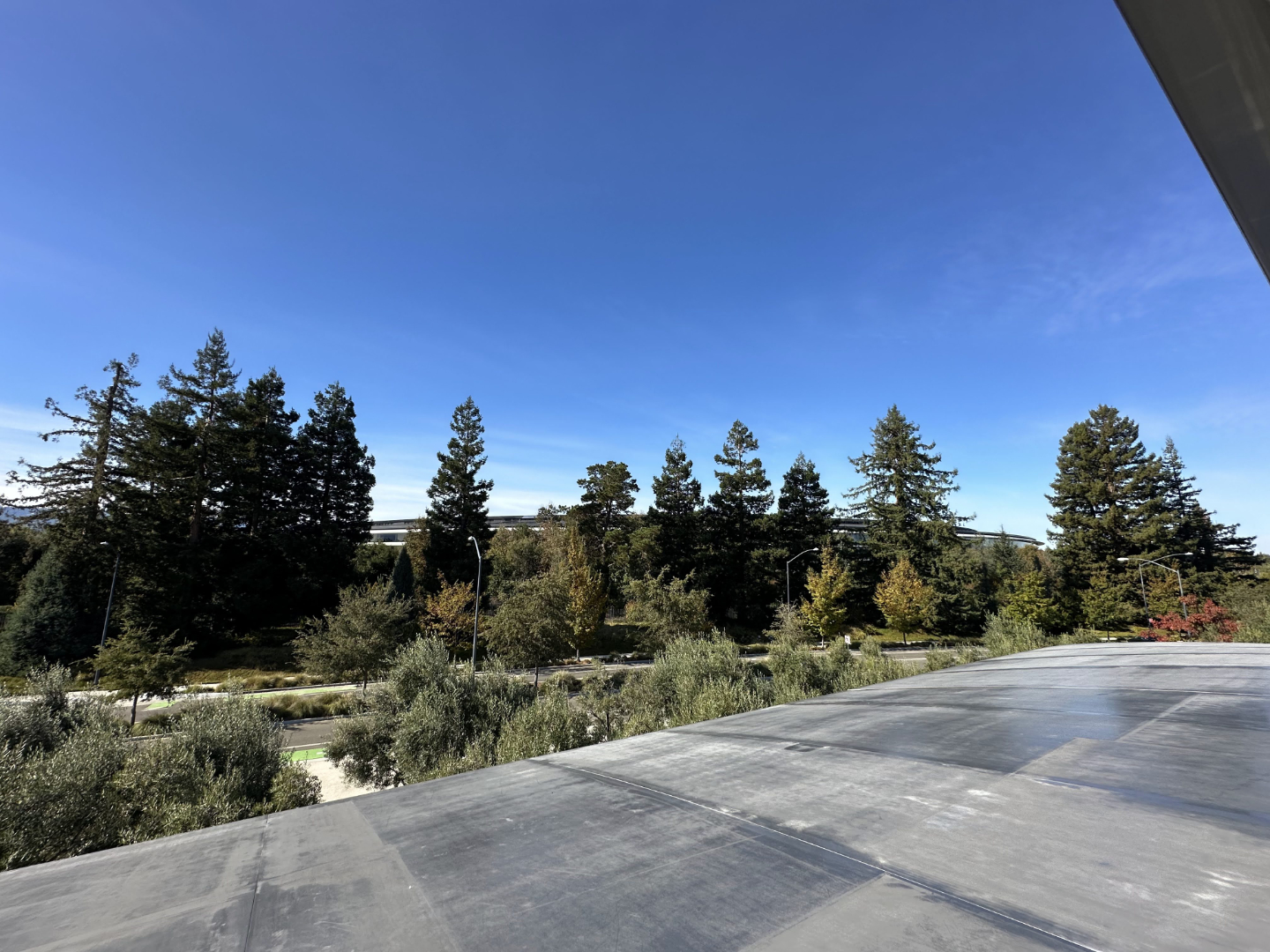 Apple Park