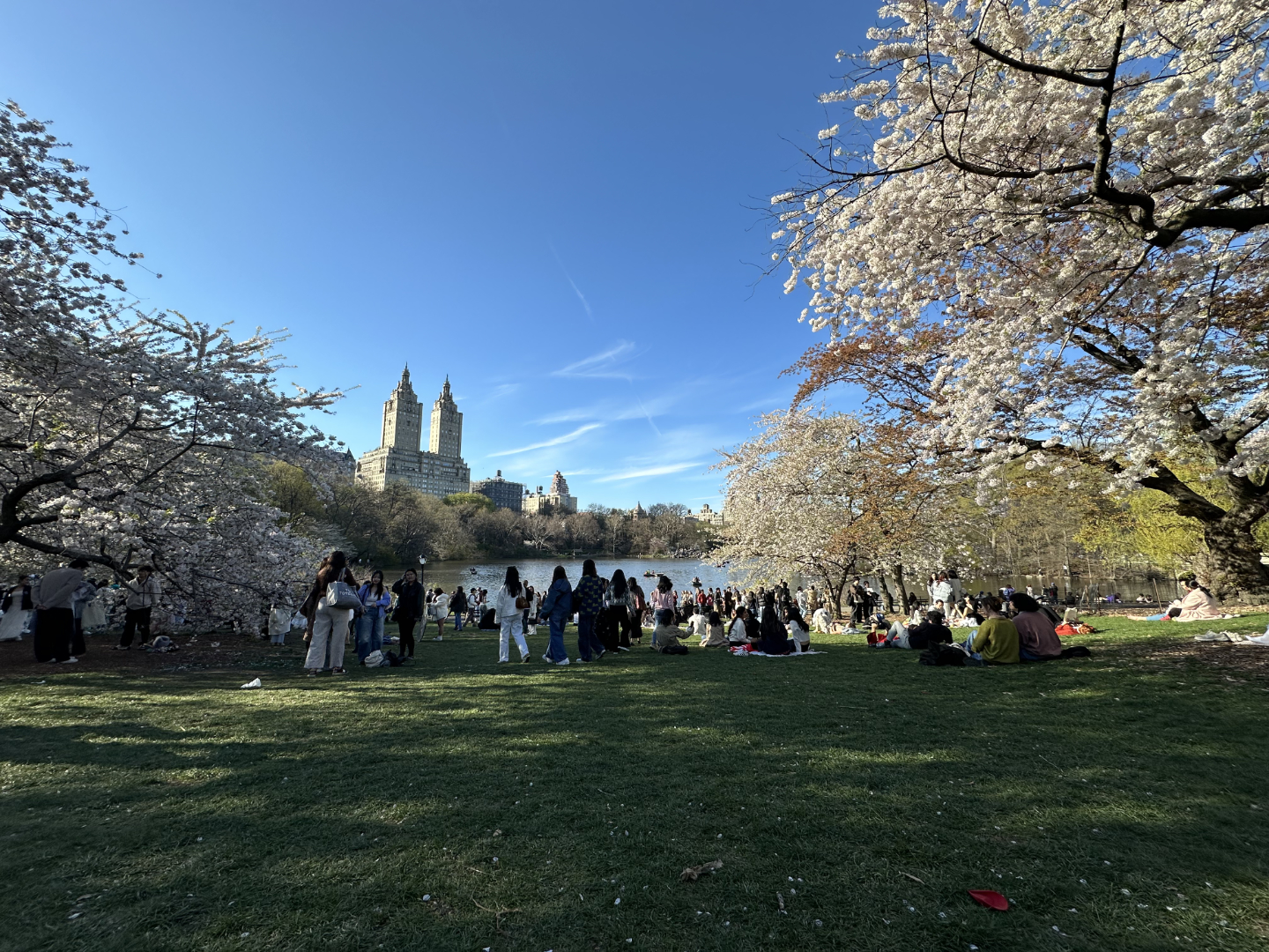 Central Park