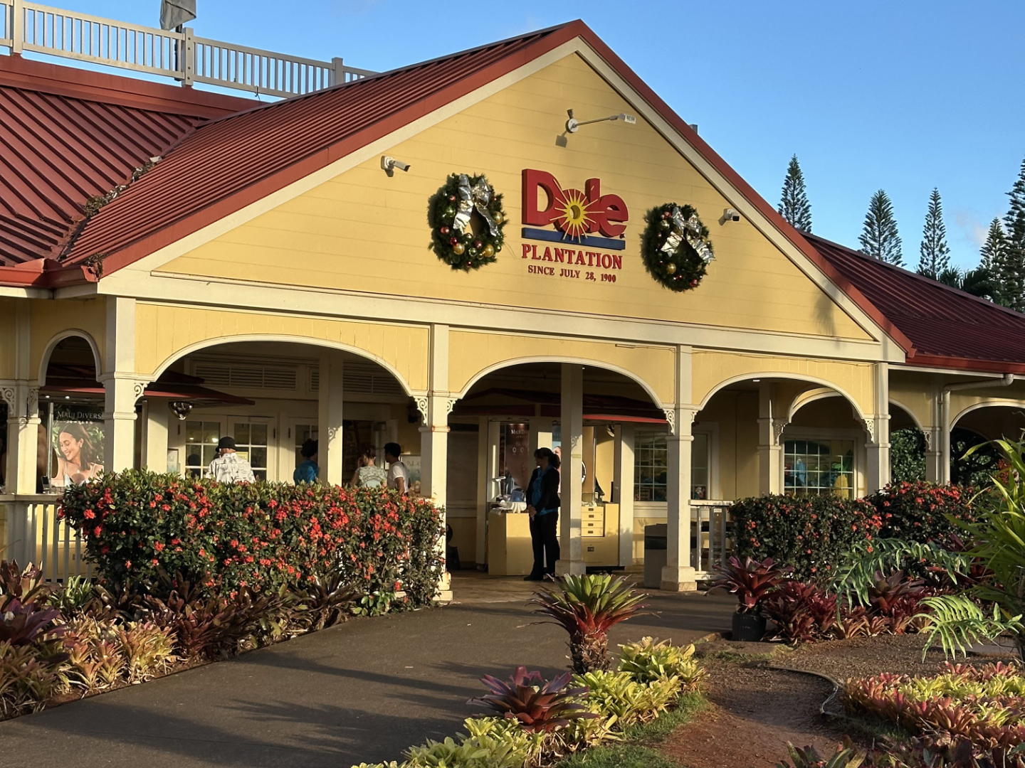 Dole Plantation