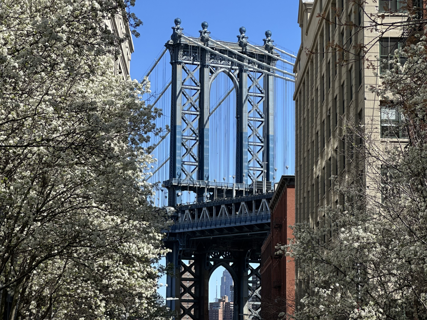 DUMBO