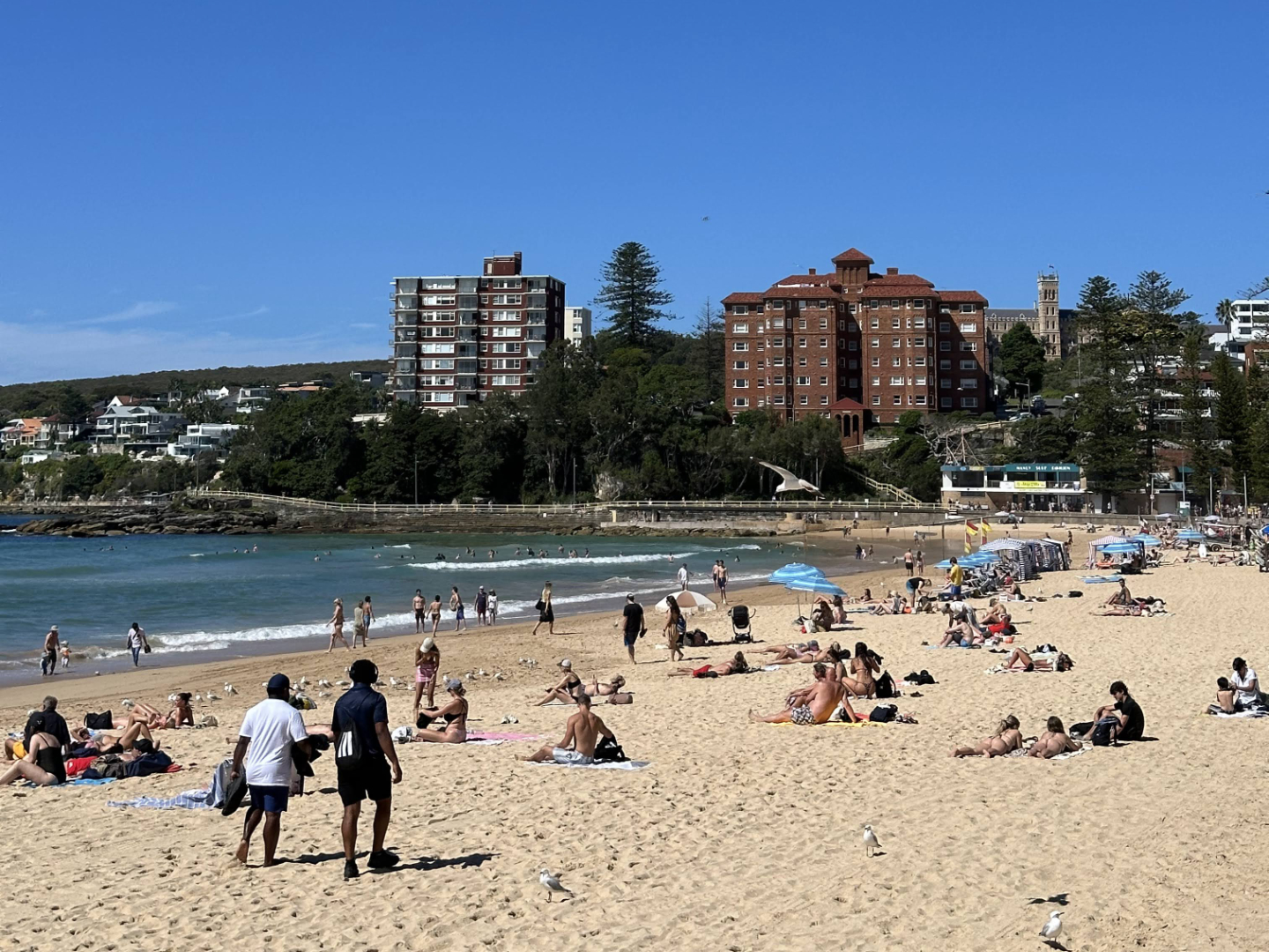 Manly Beach