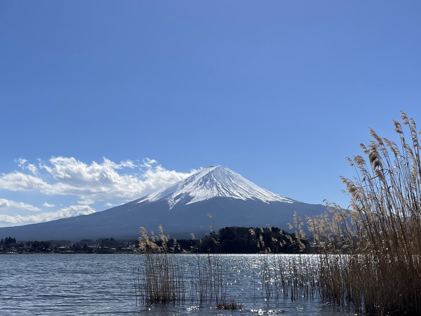 Mount Fuji