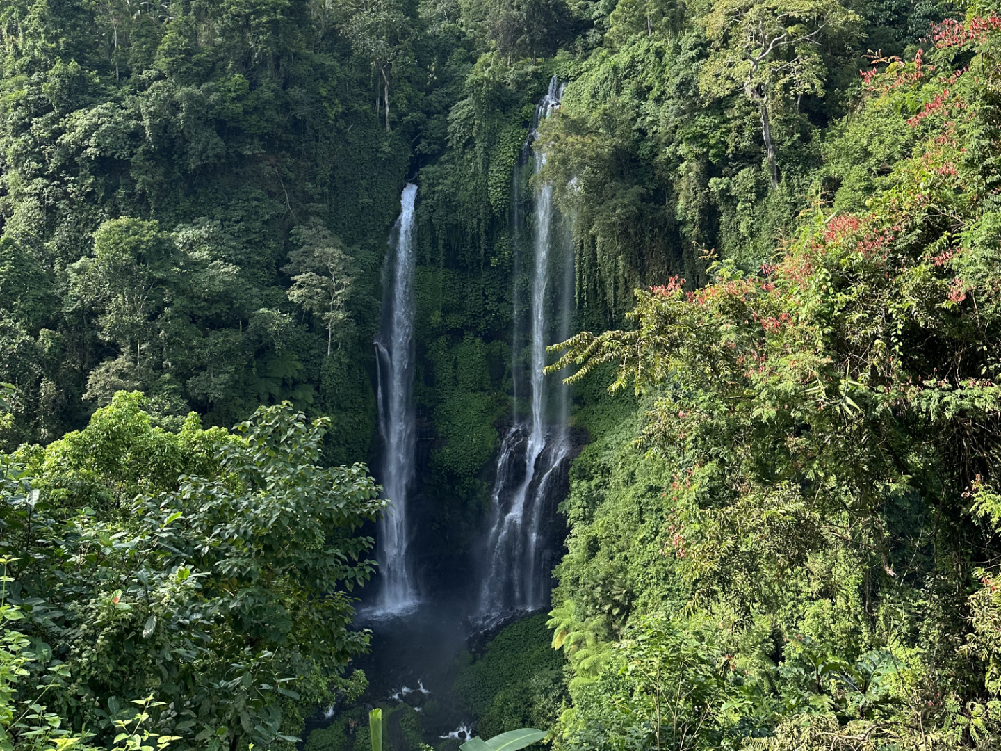 Sekumpul Waterfall
