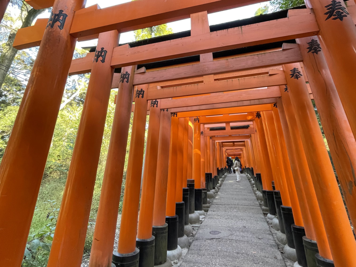 Senbon Torii