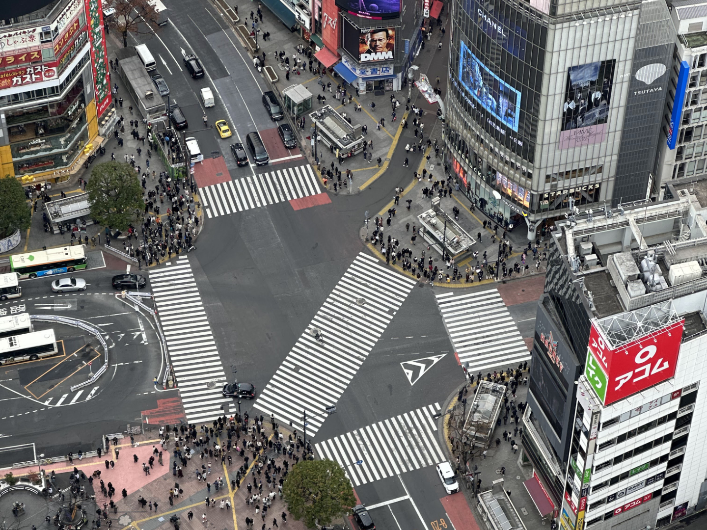 Shibuya Crossing