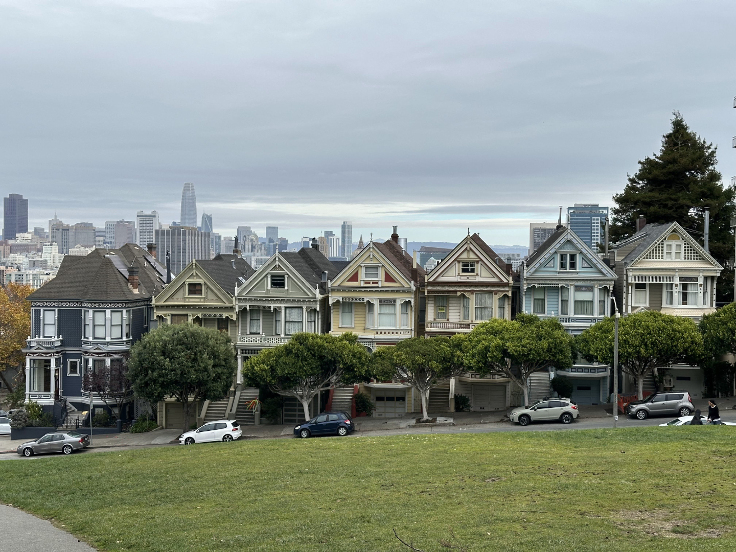 The Painted Ladies