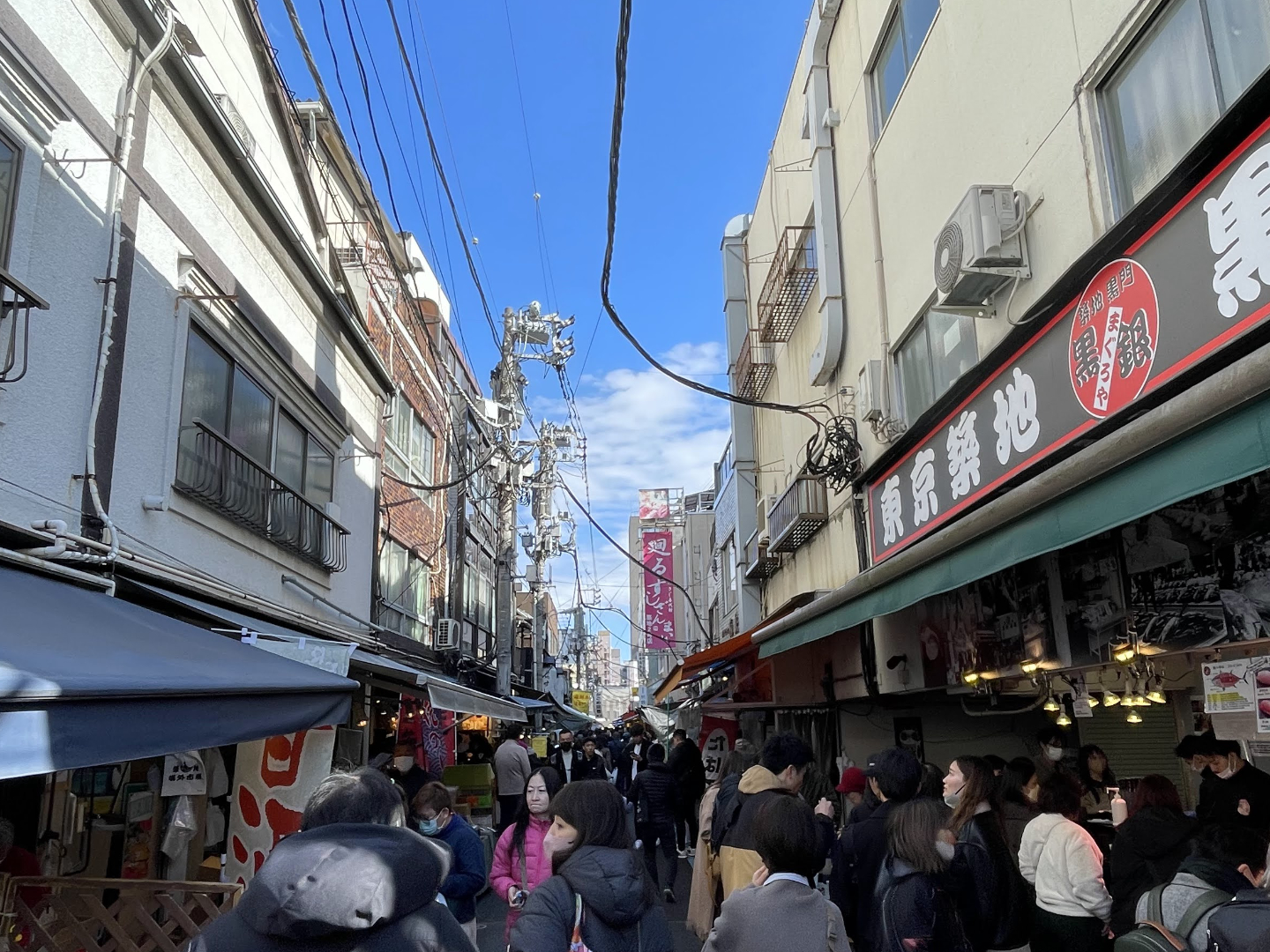 Tsukiji Fish Market